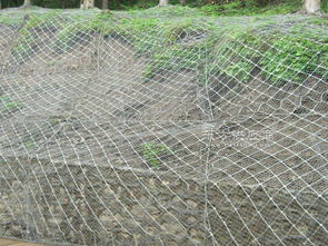 安平縣騰捷金屬絲網(wǎng)制品廠 專(zhuān)業(yè)金屬絲網(wǎng)制品領(lǐng)域的卓越之選